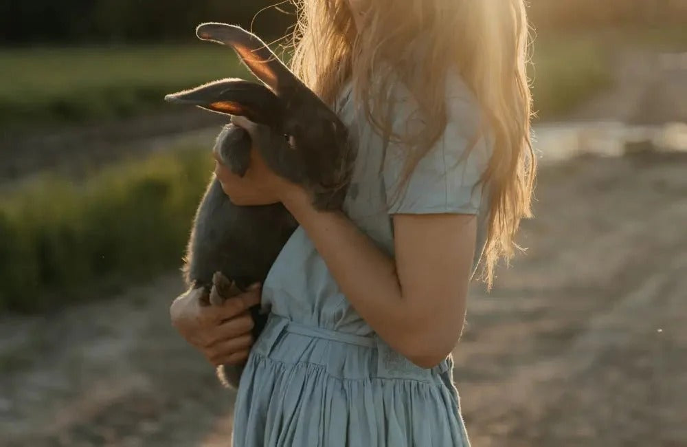 Pawsitive Perks: The Hidden Joys of Having a Pet