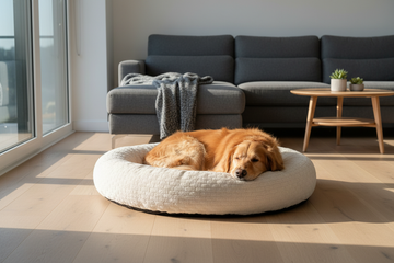 Cozy Beds