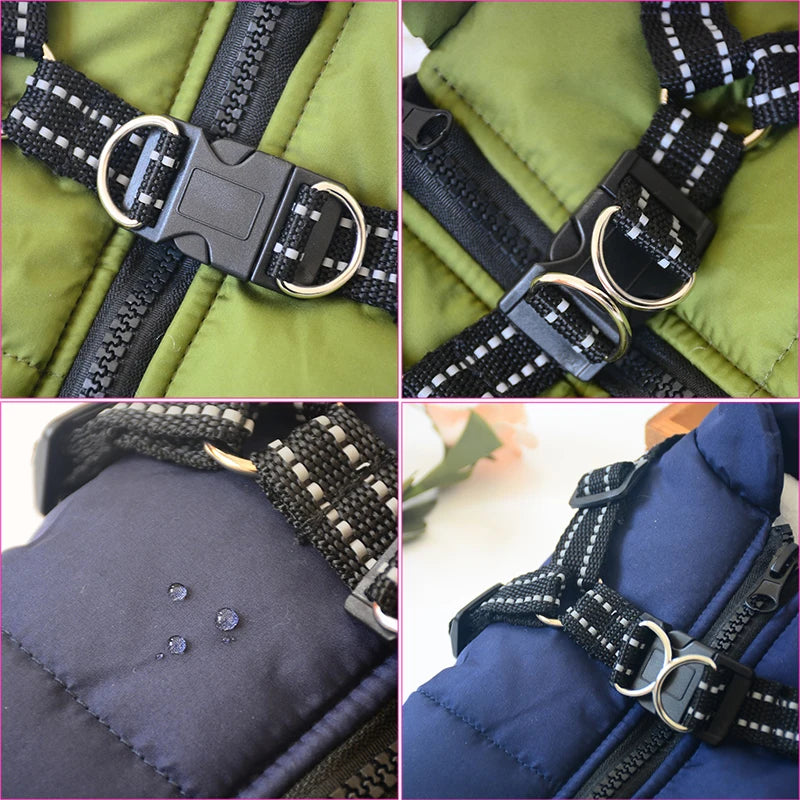 Pet Jacket With Harness