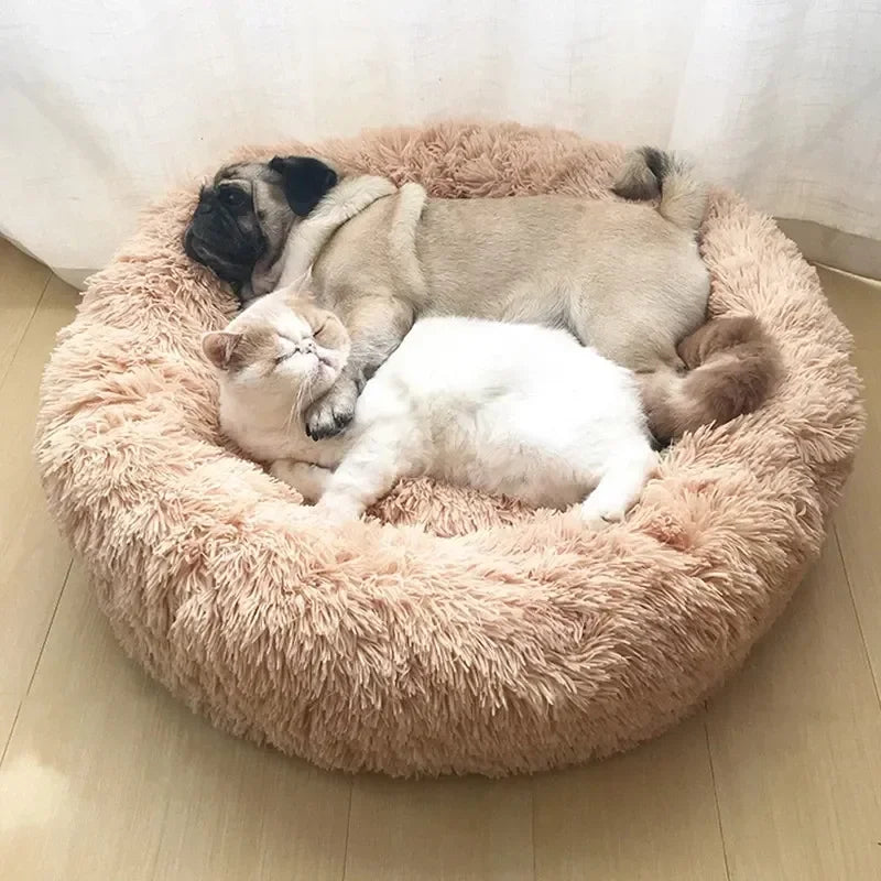 Super Soft Plush Pet Cat Bed - Full Size Washable Donut Bed for Comfortable Sleep, Calm & Cozy Sleeping - PetsiePaws Co.